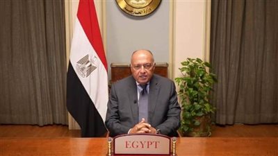 شكري: القصف الإسرائيلي لـ