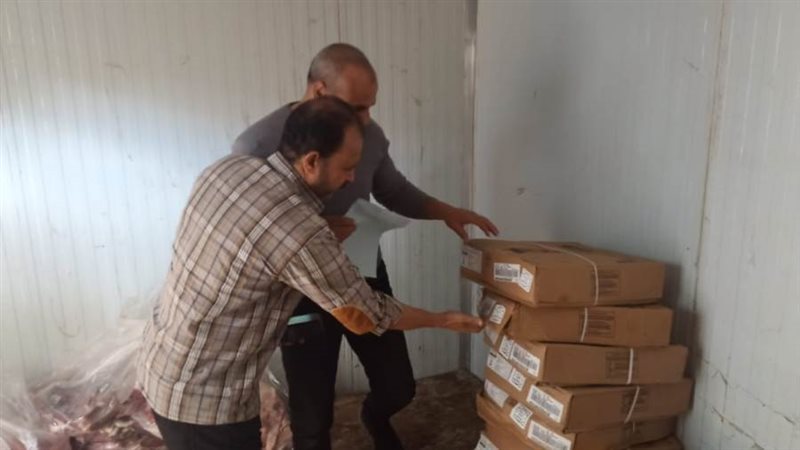 ضبط طن كبدة مجمدة