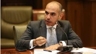 أمين سر دفاع النواب: إقالة رئيس حماية المستهلك جاءت في توقيت مناسب
