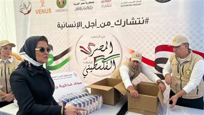 بتوجيهات شيخ الأزهر.. تسيير أكبر قافلة إغاثية من بيت الزكاة والصدقات المصري لأهلنا في غزة
