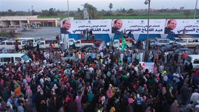 مؤتمرات حاشدة للتحالف الوطني للعمل الأهلي لدعم وتأييد المرشح عبد الفتاح السيسي