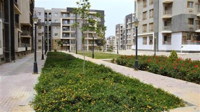 لو من سكان القاهرة الجديدة.. الجهاز يطالب سرعة تأسيس 