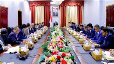 الحكومة اليمنية تؤكد رفضها المطلق للتهديدات الحوثية لحركة الملاحة الدولية