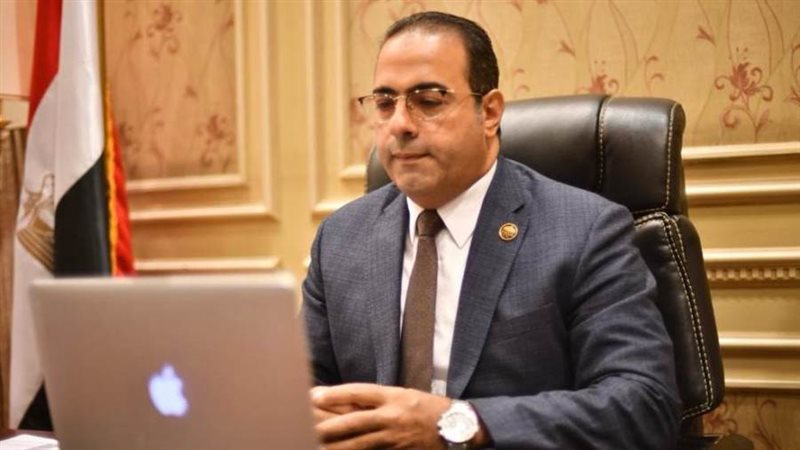 رئيس اتحاد شباب المصريين