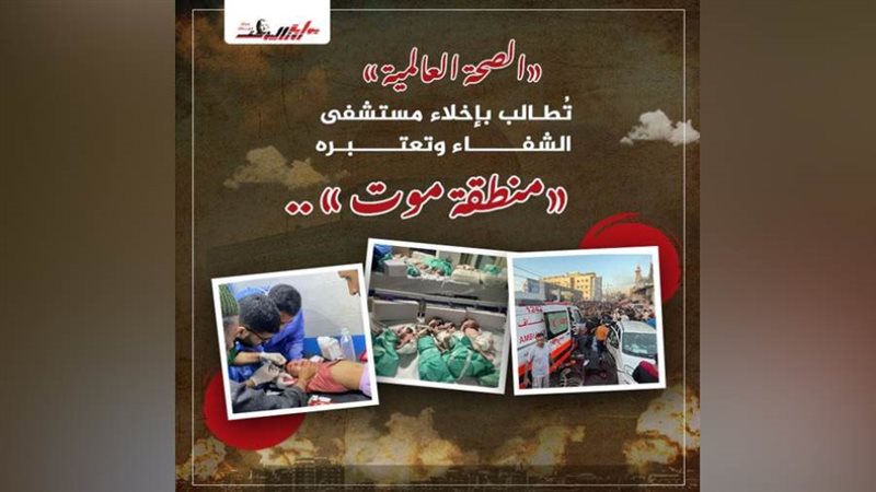 إنفوجراف: داليا عبد