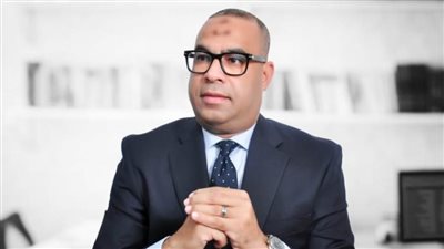 محمد فضل الله: مشاركة الشباب فى الانتخابات تنقل صورة حضارية عن مصر