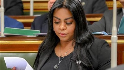 إفريقية النواب:الحل السياسي السبيل الوحيد لتحقيق السلام الشامل للأشقاء فلسطين والمنطقة