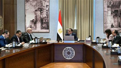 رئيس الوزراء يتابع مع وزير الإسكان موقف تنفيذ المشروعات السكنية