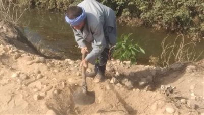 زراعة 113 شجرة مثمرة ضمن المبادرة الرئاسية 100 مليون شجرة بمطاي بالمنيا