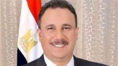 برلماني: مصر جنّبت المنطقة الدخول في نفق مظلم