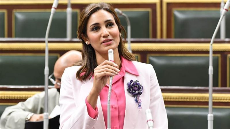 النائبة رغدة نجاتي