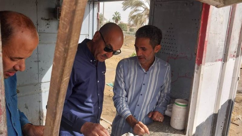 مشروعات البيض ببنى