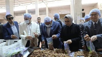 بالصور.. تعبئة 100طن تمور بالوادي الجديد وإرسالها للأشقاء في غزة