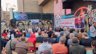 حزب الحرية المصري ينظم مؤتمرًا لدعم الرئيس بمدينة شبين القناطر