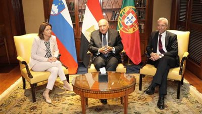 شكري: استقرار المنطقة لن يتحقق إلا بتسوية شاملة وعادلة للقضية الفلسطينية