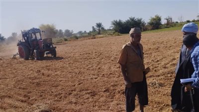 قوافل إرشادية لبحوث الصحراء لحث مزارعي توشكى على زراعة القمح