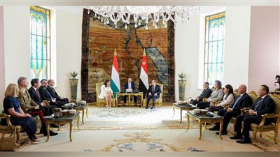 عاجل.. توافق مصري مجري على رفض استهداف المدنيين ومحاولات تهجيرهم خلال لقاء قمة اليوم