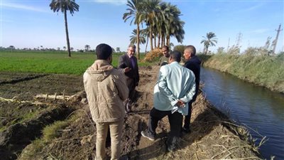 الزراعة تتابع حالة المحاصيل الشتوية بـ