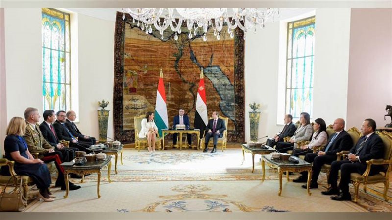 الرئيس السيسي خلال