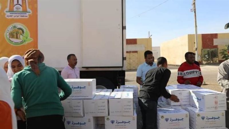 تمور الوادي الجديد