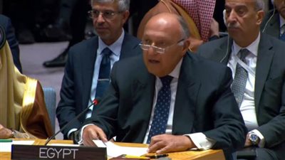 وزير الخارجية: مصر تكثف جهودها للتوصل إلى وقف إطلاق نار دائم في قطاع غزة