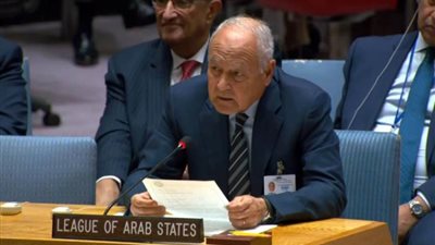  أبوالغيط: استمرار العدوان الإسرائيلي على غزة يبعدنا عن سلام مستدام ويزرع الكراهية بفلسطين والمنطقة