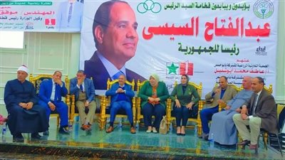 مؤتمر جماهيرى حاشد بمركز أبو حمص لتأييد الرئيس السيسى