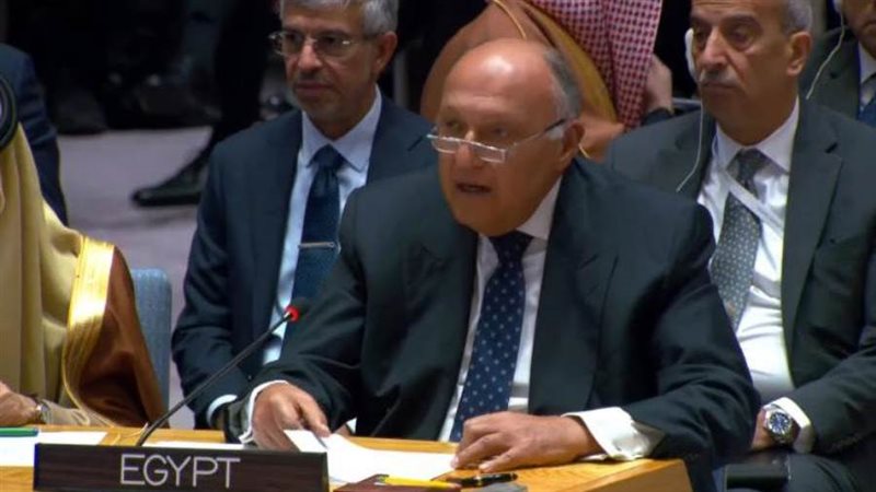 وزير الخارجية سامح