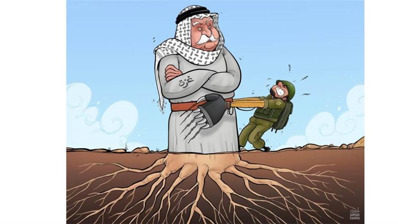 بوابة روز اليوسف