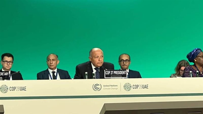 شكري يترأس وفد مصر