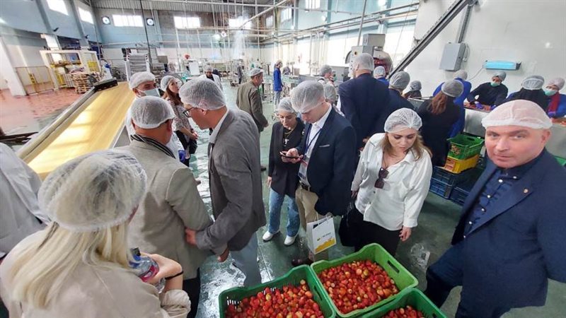 وفد روسي يزور المنطقة