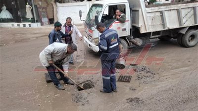 رفع كفاءة منظومة النظافة العامة ببيلا في كفر الشيخ