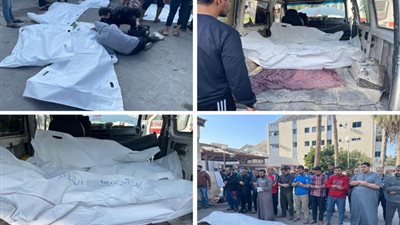 عاجل| 65 شهيدًا فلسطينيًا جراء تواصل قصف الاحتلال الإسرائيلي لقطاع غزة