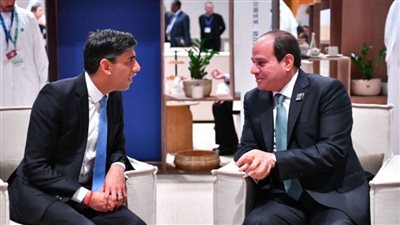 عاجل.. السيسي وسوناك يتوافقان على خطورة الوضع بغزة في لقاء على هامش قمة المناخ