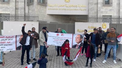 سفير مصر بتونس: صورة حضارية تسود عملية التصويت في الانتخابات الرئاسية