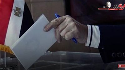 كل ما تريد معرفته عن الانتخابات الرئاسية ٢٠٢٤