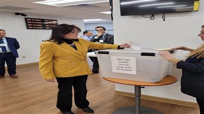 قنصل مصر في نيويورك: المشاركة بالانتخابات الرئاسية بالخارج 