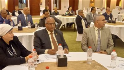 بني سويف تشارك في ورشة 