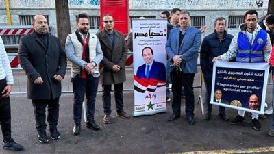 حزب حماة الوطن: المصريون يسطرون ملحمة كبيرة في الانتخابات الرئاسية