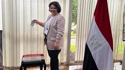 توافد المصريين في البرازيل للتصويت بالانتخابات الرئاسية 