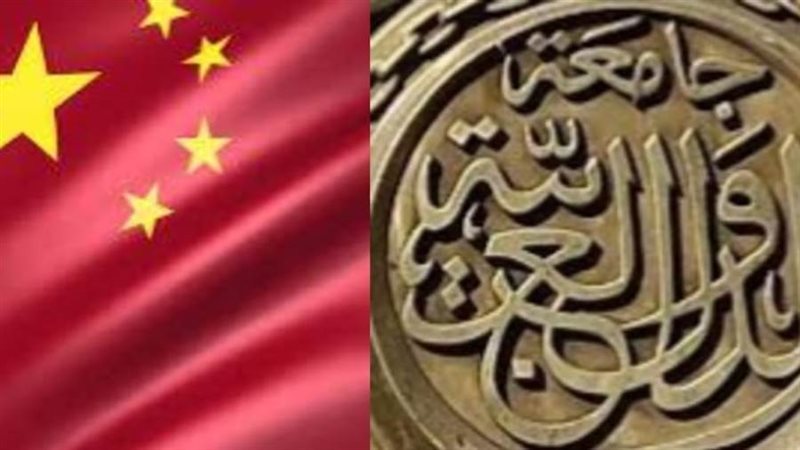 مصر والعالم العربي