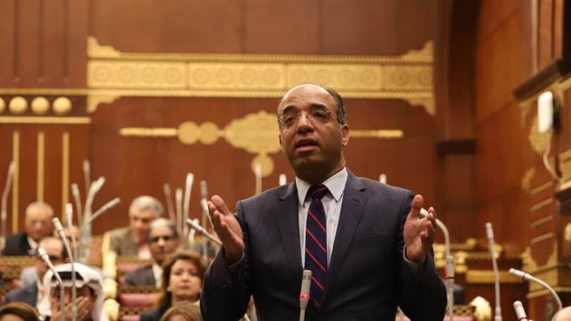 النائب الدكتور علي