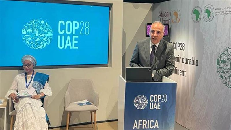 وزير الري يشارك في