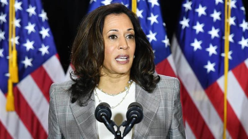 نائبة الرئيس الأمريكي