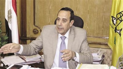 محافظ شمال سيناء يستقبل سفينة طبية إيطالية في ميناء العريش البحري