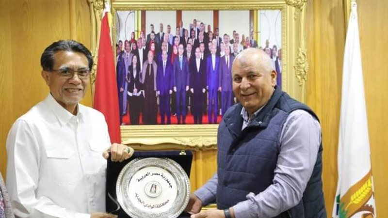 محافظ الوادي الجديد