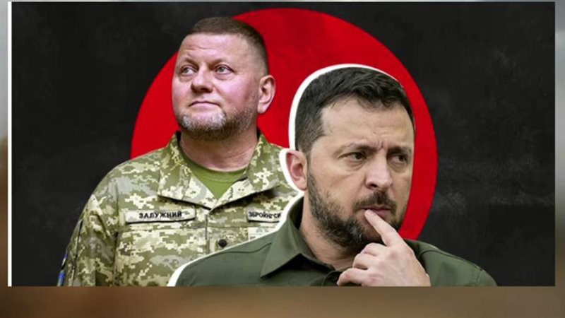 زيلينسكي وزالوزني