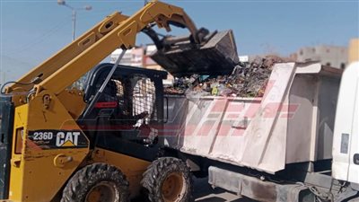 حملات نظافة مكبرة بمدن ومراكز كفر الشيخ