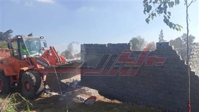 إزالة التعديات على الأراضي الزراعية بدسوق في كفر الشيخ 