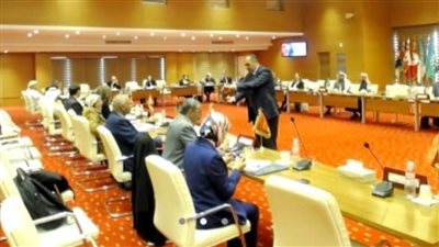 مصر نائبًا أول للعقد العربي لمحو الأمية وتعليم الكبار في دورته التاسعة